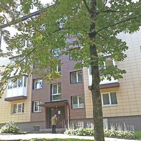 Siauliai Central Spot Apartment - Draugystes Pr. Šiauliai Exterior foto
